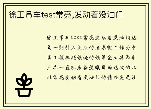 徐工吊车test常亮,发动着没油门